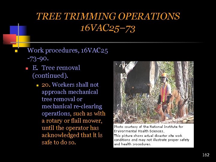 TREE TRIMMING OPERATIONS 16 VAC 25– 73 n Work procedures, 16 VAC 25 -73