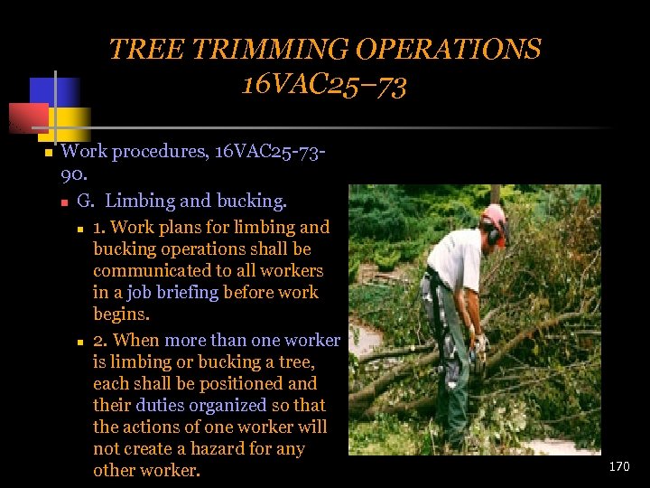 TREE TRIMMING OPERATIONS 16 VAC 25– 73 n Work procedures, 16 VAC 25 -7390.
