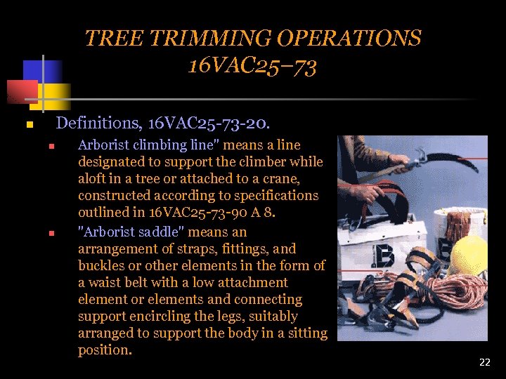 TREE TRIMMING OPERATIONS 16 VAC 25– 73 Definitions, 16 VAC 25 -73 -20. n