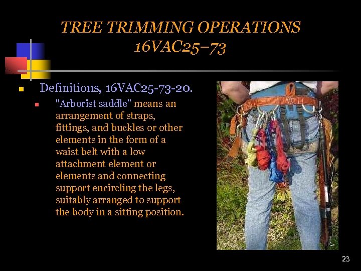 TREE TRIMMING OPERATIONS 16 VAC 25– 73 Definitions, 16 VAC 25 -73 -20. n