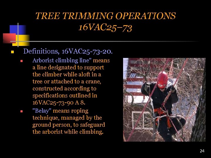 TREE TRIMMING OPERATIONS 16 VAC 25– 73 Definitions, 16 VAC 25 -73 -20. n