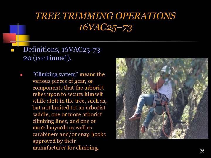 TREE TRIMMING OPERATIONS 16 VAC 25– 73 Definitions, 16 VAC 25 -7320 (continued). n
