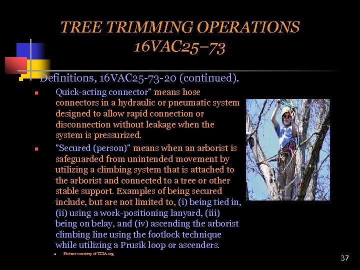 TREE TRIMMING OPERATIONS 16 VAC 25– 73 Definitions, 16 VAC 25 -73 -20 (continued).