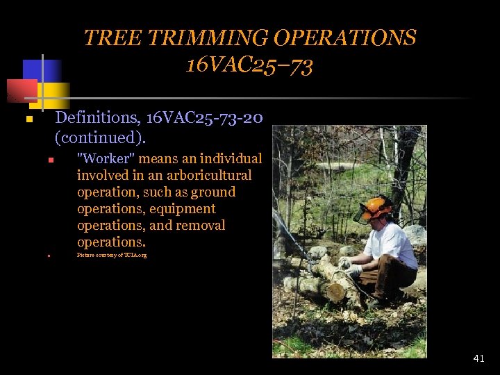 TREE TRIMMING OPERATIONS 16 VAC 25– 73 Definitions, 16 VAC 25 -73 -20 (continued).