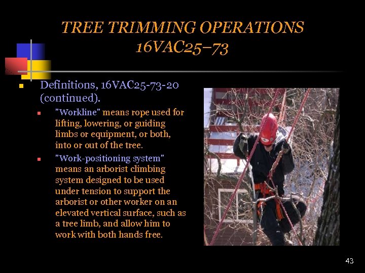TREE TRIMMING OPERATIONS 16 VAC 25– 73 n Definitions, 16 VAC 25 -73 -20