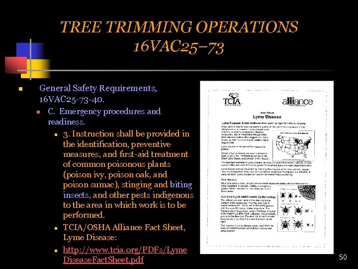 TREE TRIMMING OPERATIONS 16 VAC 25– 73 n General Safety Requirements, 16 VAC 25