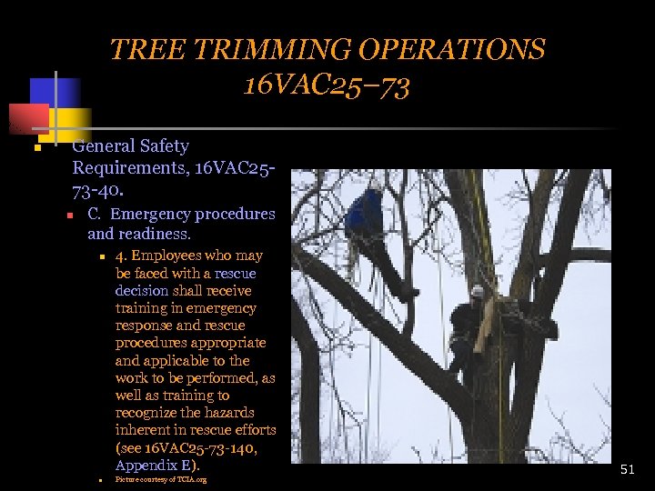 TREE TRIMMING OPERATIONS 16 VAC 25– 73 n General Safety Requirements, 16 VAC 2573