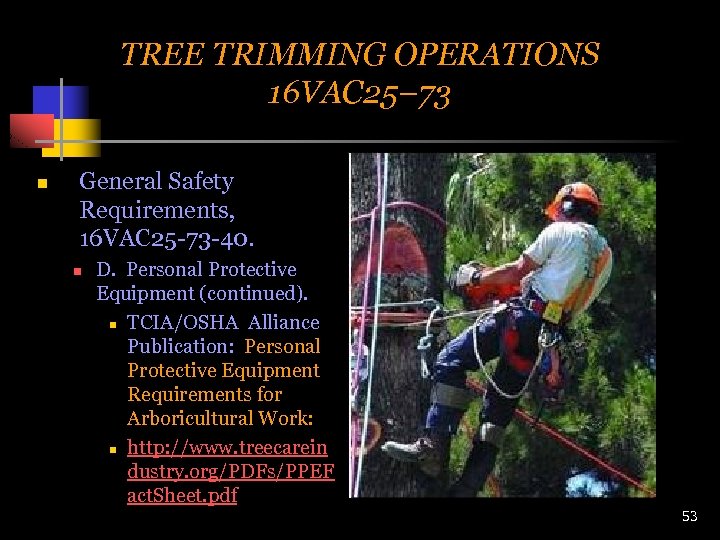 TREE TRIMMING OPERATIONS 16 VAC 25– 73 n General Safety Requirements, 16 VAC 25