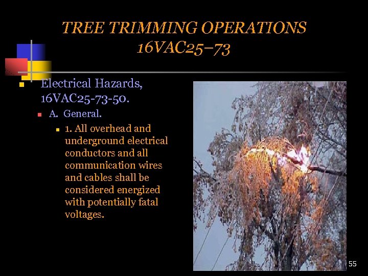 TREE TRIMMING OPERATIONS 16 VAC 25– 73 n Electrical Hazards, 16 VAC 25 -73