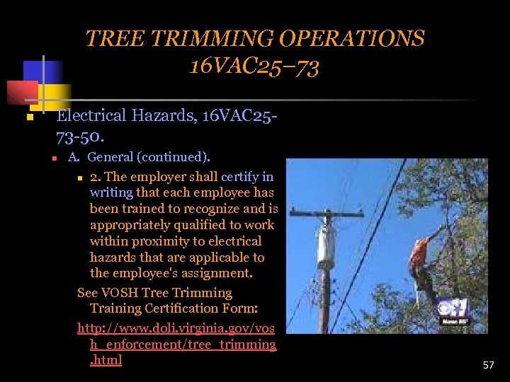 TREE TRIMMING OPERATIONS 16 VAC 25– 73 n Electrical Hazards, 16 VAC 2573 -50.