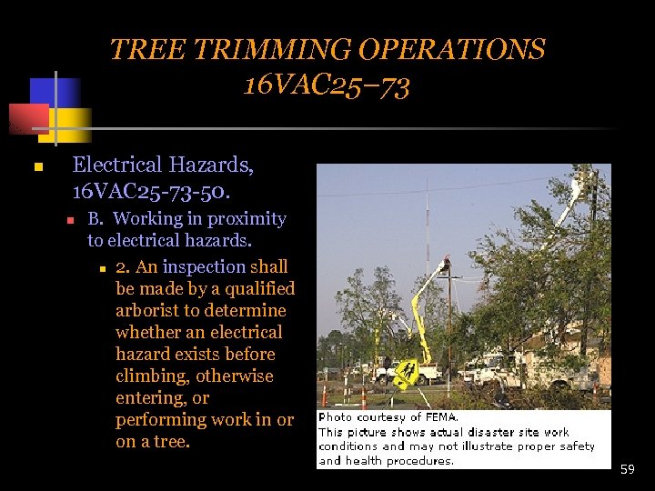 TREE TRIMMING OPERATIONS 16 VAC 25– 73 n Electrical Hazards, 16 VAC 25 -73