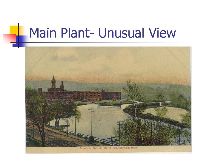 Main Plant- Unusual View 