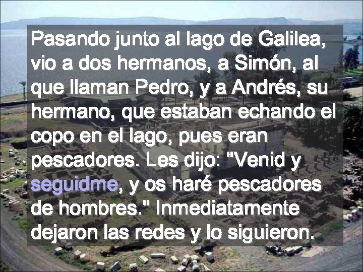 Pasando junto al lago de Galilea, vio a dos hermanos, a Simón, al que
