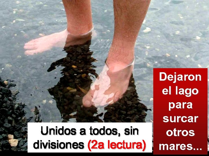 Unidos a todos, sin divisiones (2 a lectura) Dejaron el lago para surcar otros