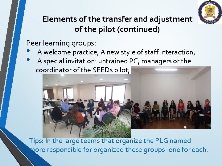 Elements of the transfer and adjustment of the pilot (continued) Peer learning groups: •