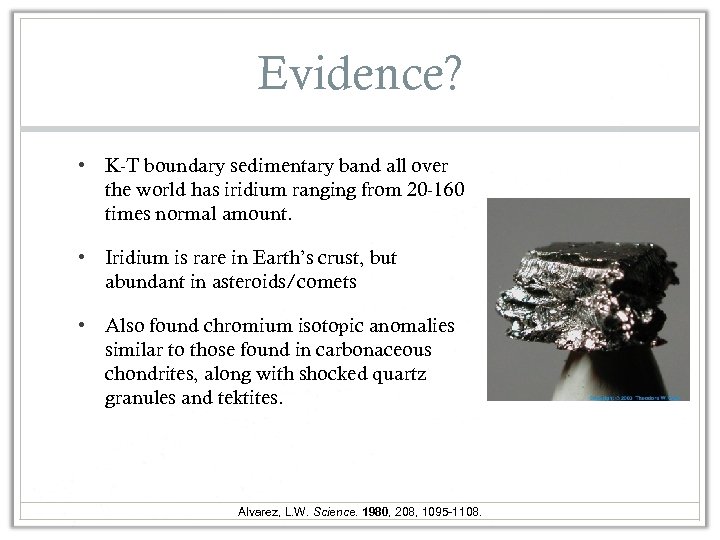 Evidence? • K-T boundary sedimentary band all over the world has iridium ranging from