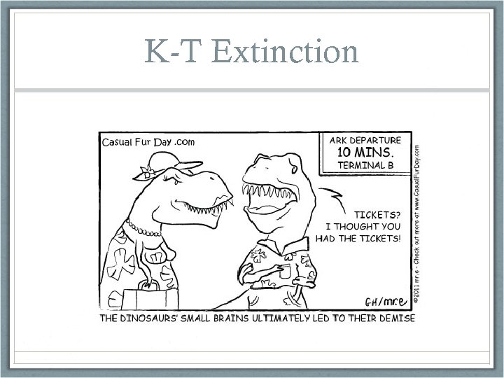 K-T Extinction 