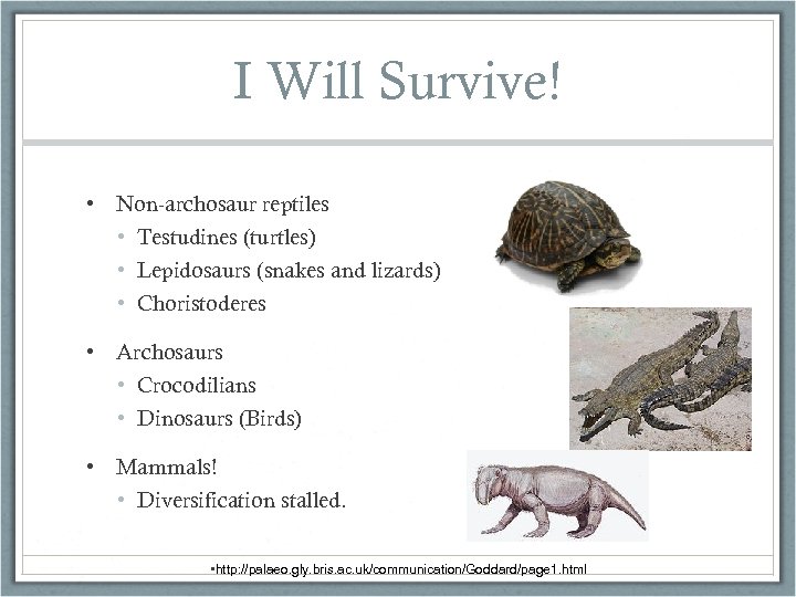 I Will Survive! • Non-archosaur reptiles • Testudines (turtles) • Lepidosaurs (snakes and lizards)