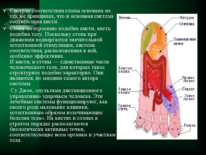 Ú Система соответствия стопы основана на тех же принципах, что и основная система соответствия