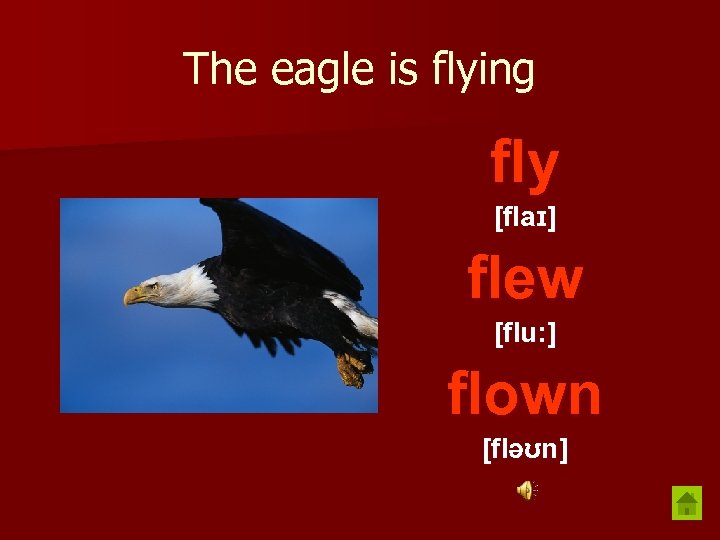 The eagle is flying fly [flaɪ] flew [flu: ] flown [fləʊn] 