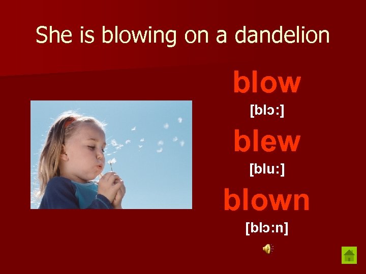 She is blowing on a dandelion blow [blɔ: ] blew [blu: ] blown [blɔ: