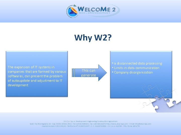 Why W 2? The expansion of IT systems in companies that are formed by