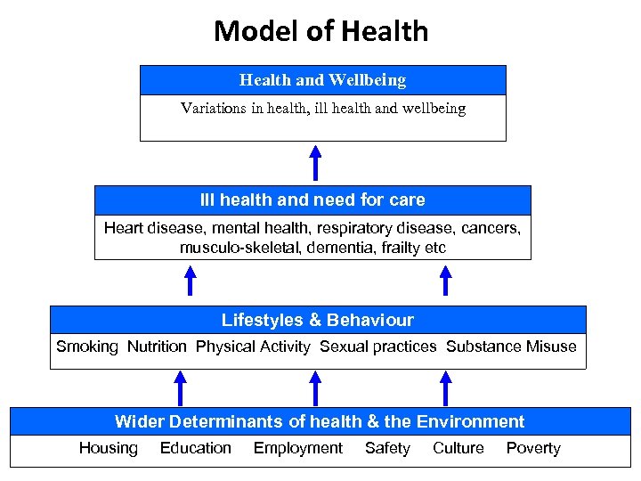 Model of Health and Wellbeing Variations in health, ill health and wellbeing Ill health