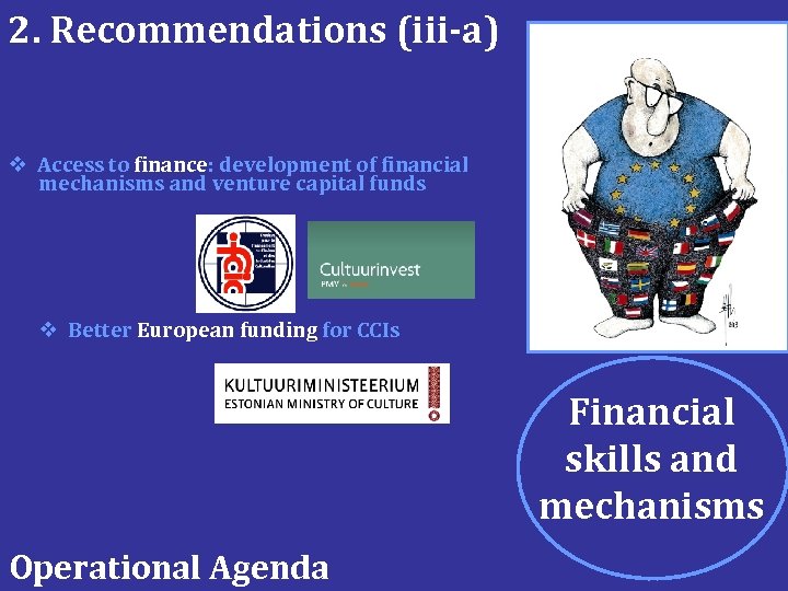 2. Recommendations (iii-a) v Access to finance: development of financial mechanisms and venture capital