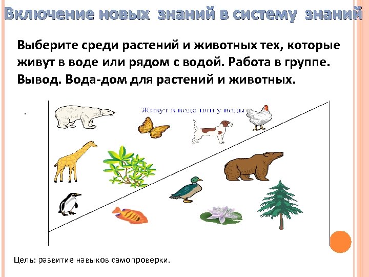 Включение новых знаний в систему знаний Выберите среди растений и животных тех, которые живут