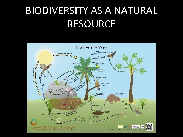 BIODIVERSITY AS A NATURAL RESOURCE 