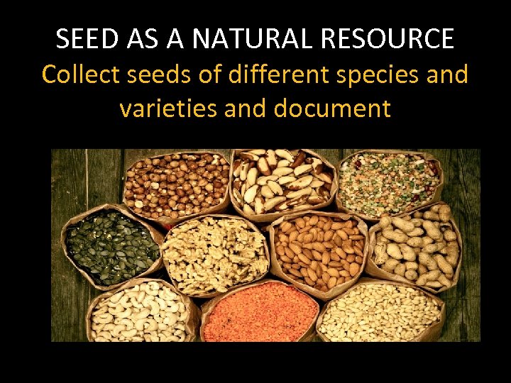 SEED AS A NATURAL RESOURCE Collect seeds of different species and varieties and document