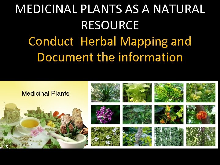 MEDICINAL PLANTS AS A NATURAL RESOURCE Conduct Herbal Mapping and Document the information 