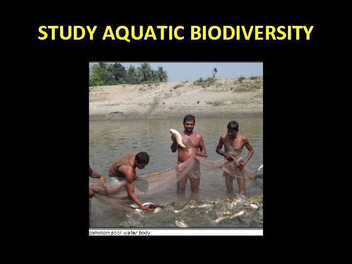 STUDY AQUATIC BIODIVERSITY 