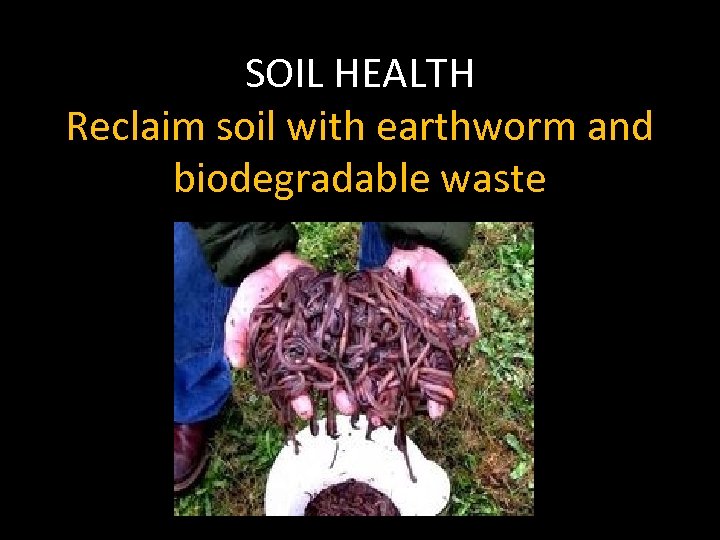 SOIL HEALTH Reclaim soil with earthworm and biodegradable waste 