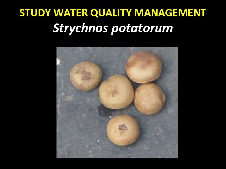  STUDY WATER QUALITY MANAGEMENT Strychnos potatorum 