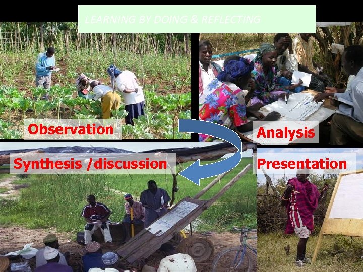 LEARNING BY DOING & REFLECTING Observation Synthesis /discussion Analysis Presentation 