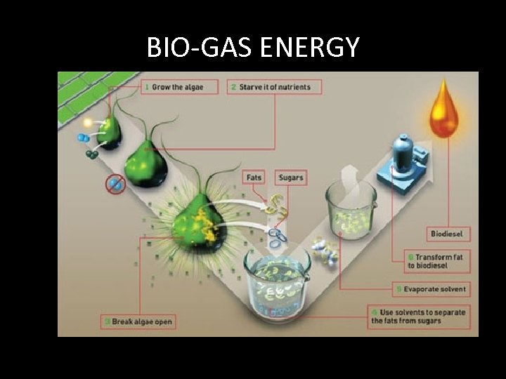 BIO-GAS ENERGY 