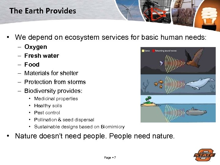 The Earth Provides • We depend on ecosystem services for basic human needs: –