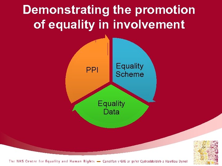 Demonstrating the promotion of equality in involvement PPI Equality Scheme Equality Data 