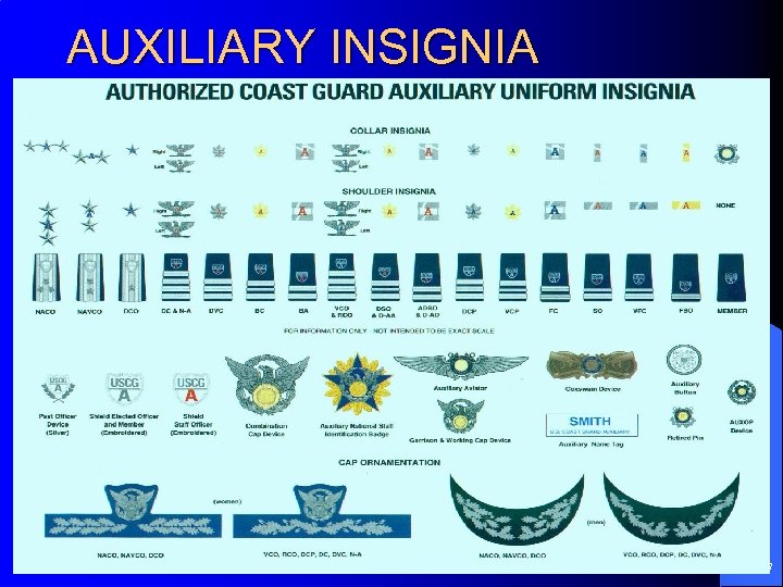 AUXILIARY INSIGNIA 17 