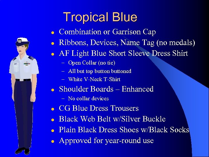 Tropical Blue l l l Combination or Garrison Cap Ribbons, Devices, Name Tag (no