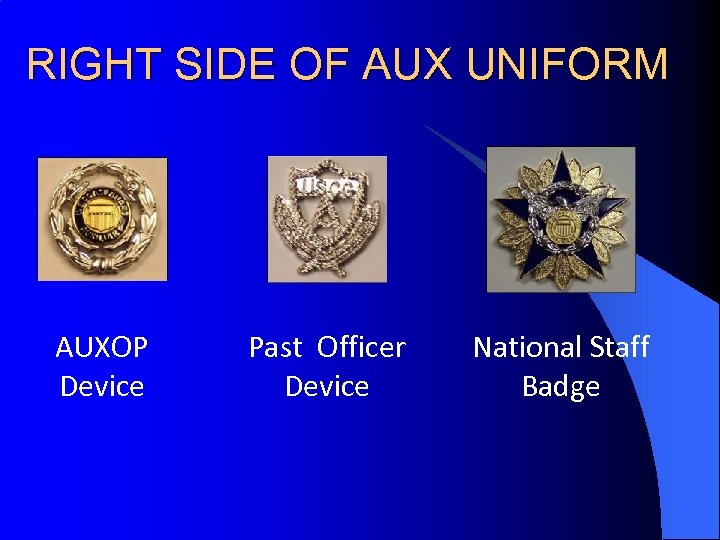 RIGHT SIDE OF AUX UNIFORM AUXOP Device Past Officer Device National Staff Badge 