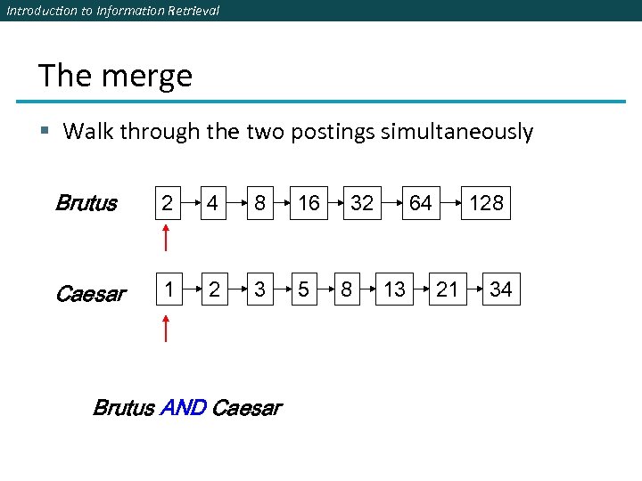 Introduction to Information Retrieval The merge § Walk through the two postings simultaneously Brutus