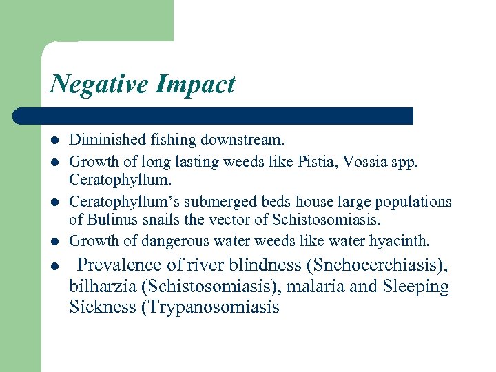 Negative Impact l Diminished fishing downstream. Growth of long lasting weeds like Pistia, Vossia