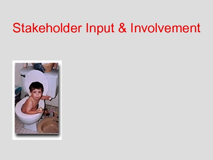 Stakeholder Input & Involvement 