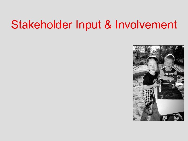 Stakeholder Input & Involvement 