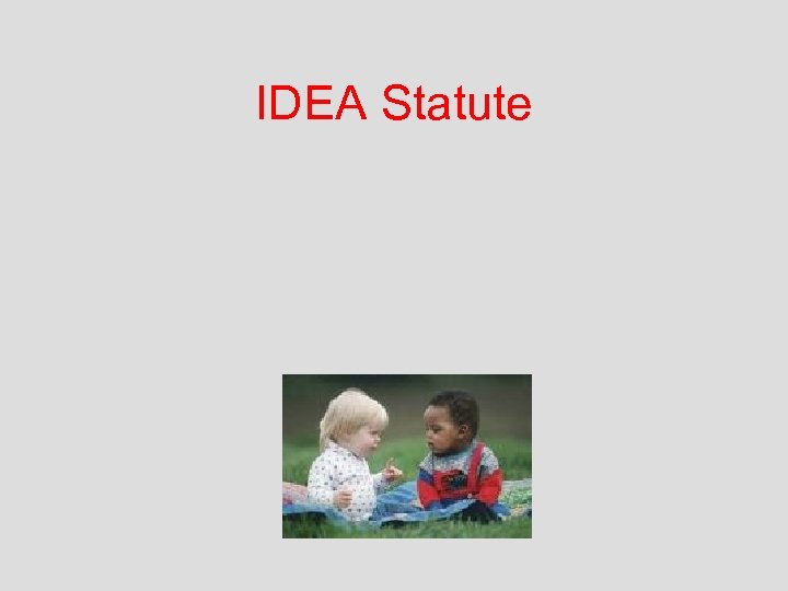 IDEA Statute 