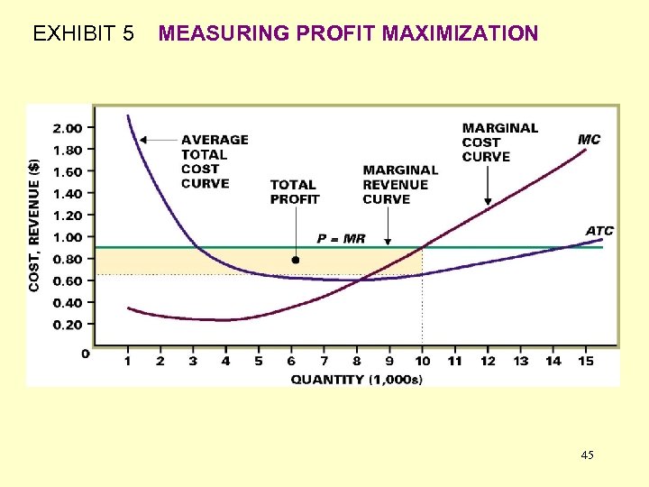 EXHIBIT 5 MEASURING PROFIT MAXIMIZATION 45 