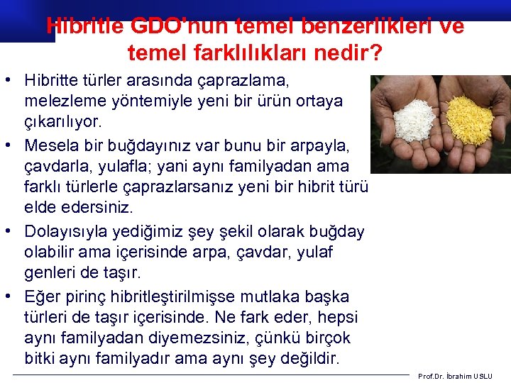 Hibritle GDO'nun temel benzerlikleri ve temel farklılıkları nedir? • Hibritte türler arasında çaprazlama, melezleme