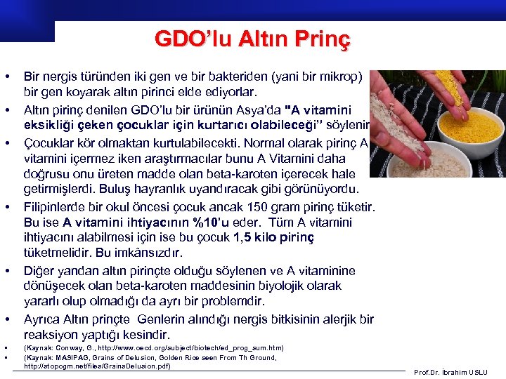 GDO’lu Altın Prinç • • Bir nergis türünden iki gen ve bir bakteriden (yani